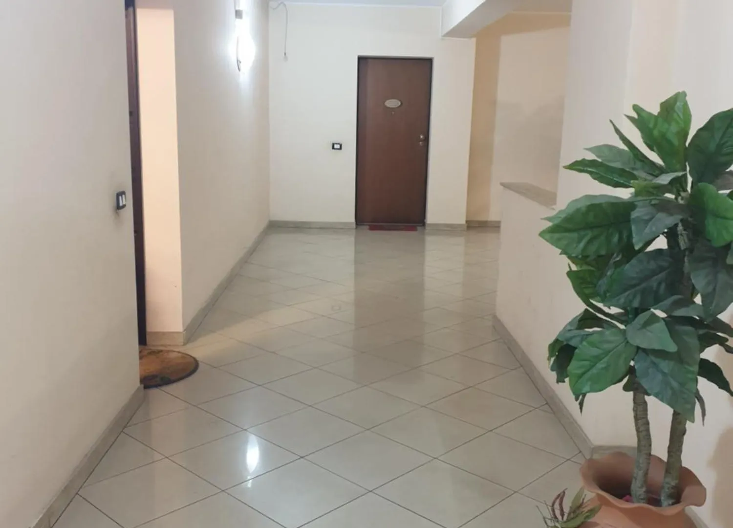 Magnolia House Apartment Catania