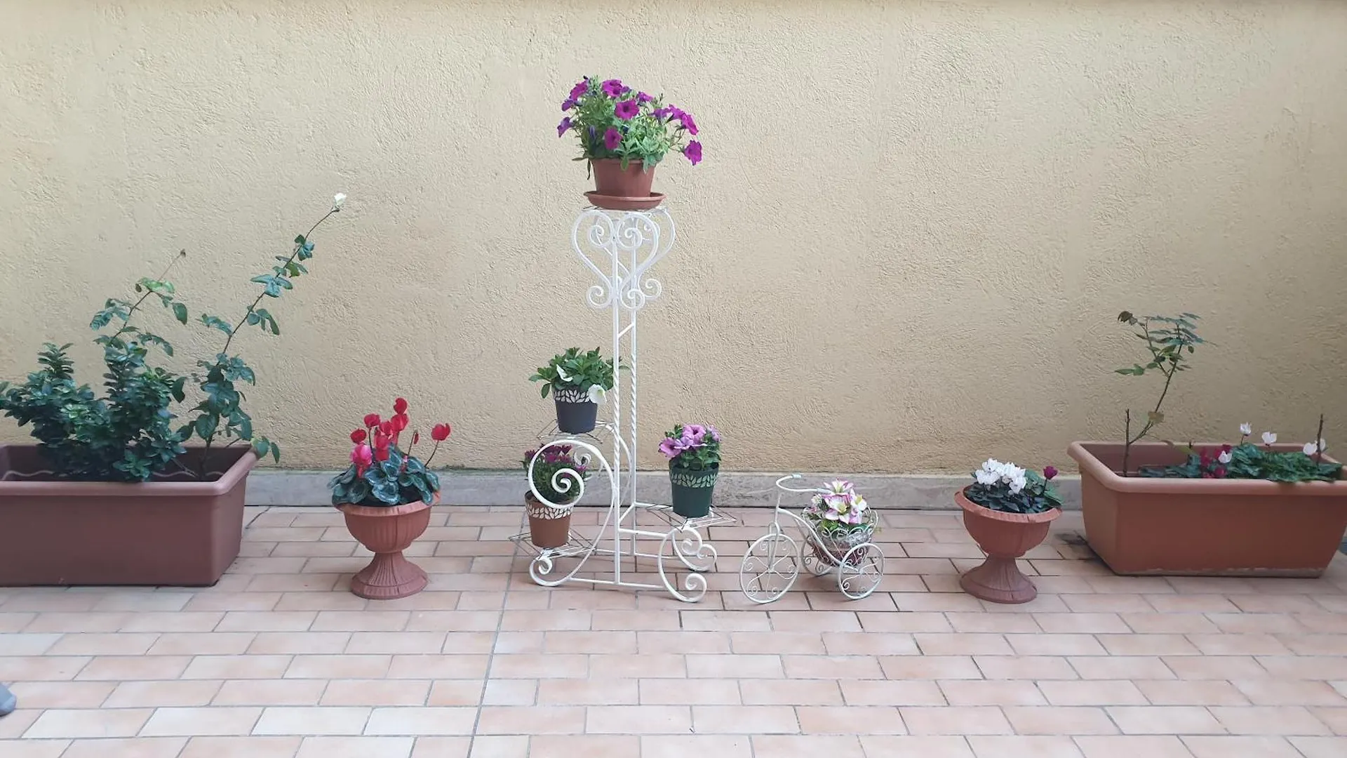 Magnolia House Apartment Catania Italy