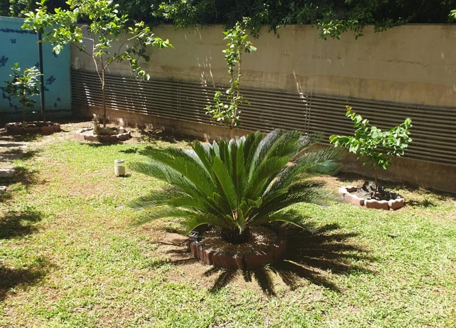 Magnolia House Apartment Catania